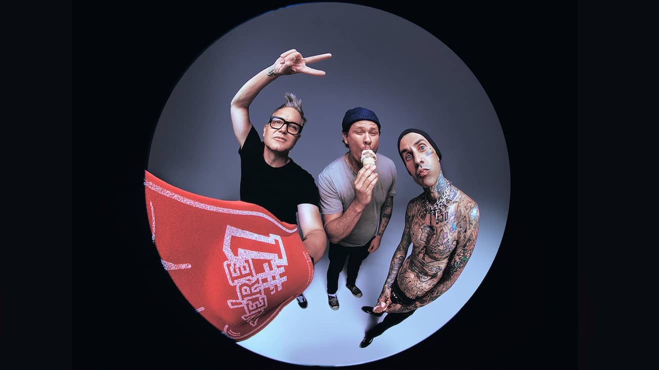blink 182 tour in us