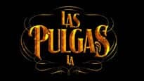 Las Pulgas LA (Previously 333 Live)