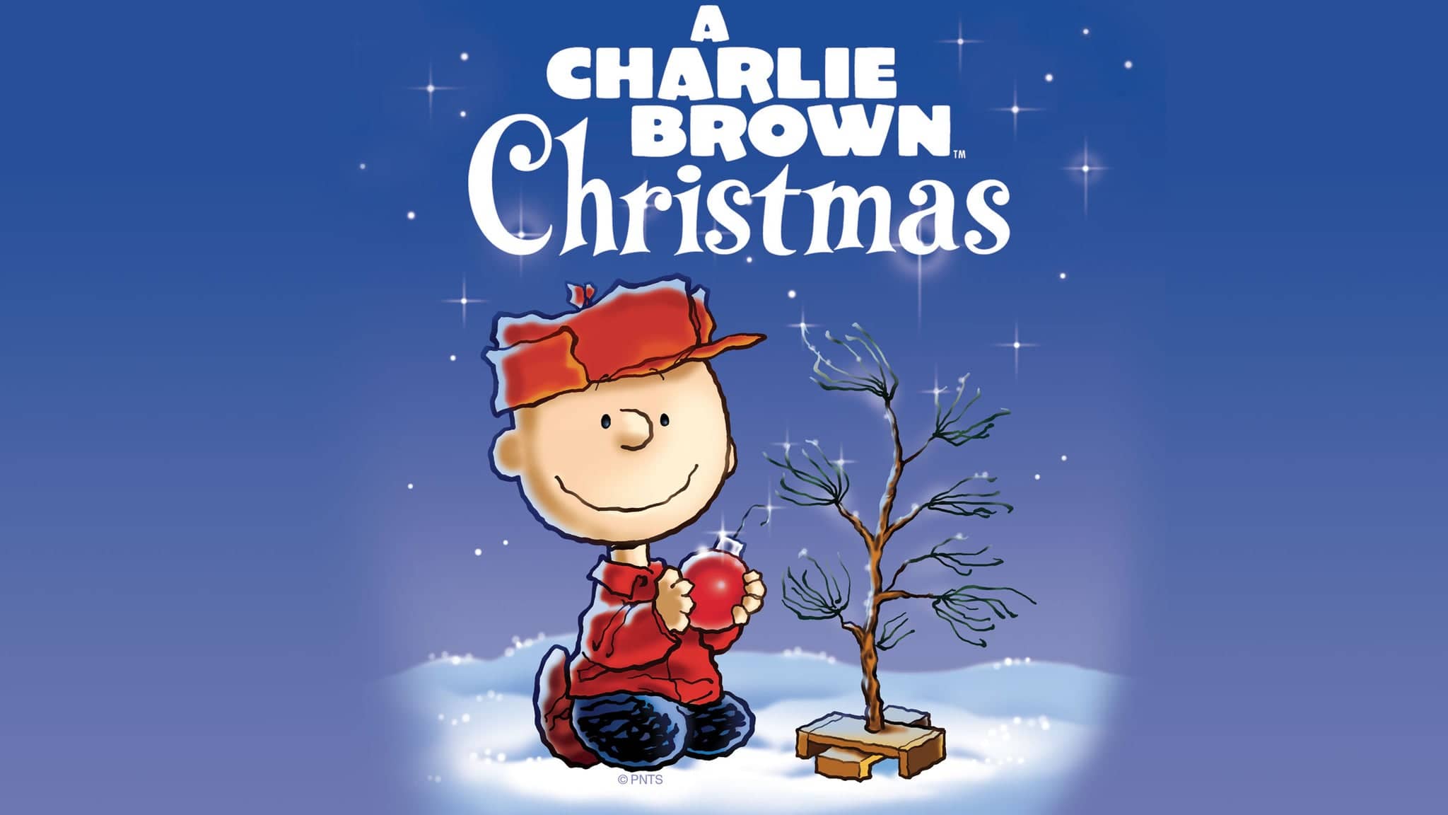 A Charlie Brown Christmas - Live On Stage!