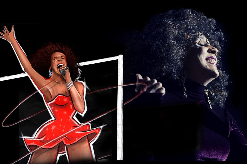 TINA LIVE - The Tina Turner Experience